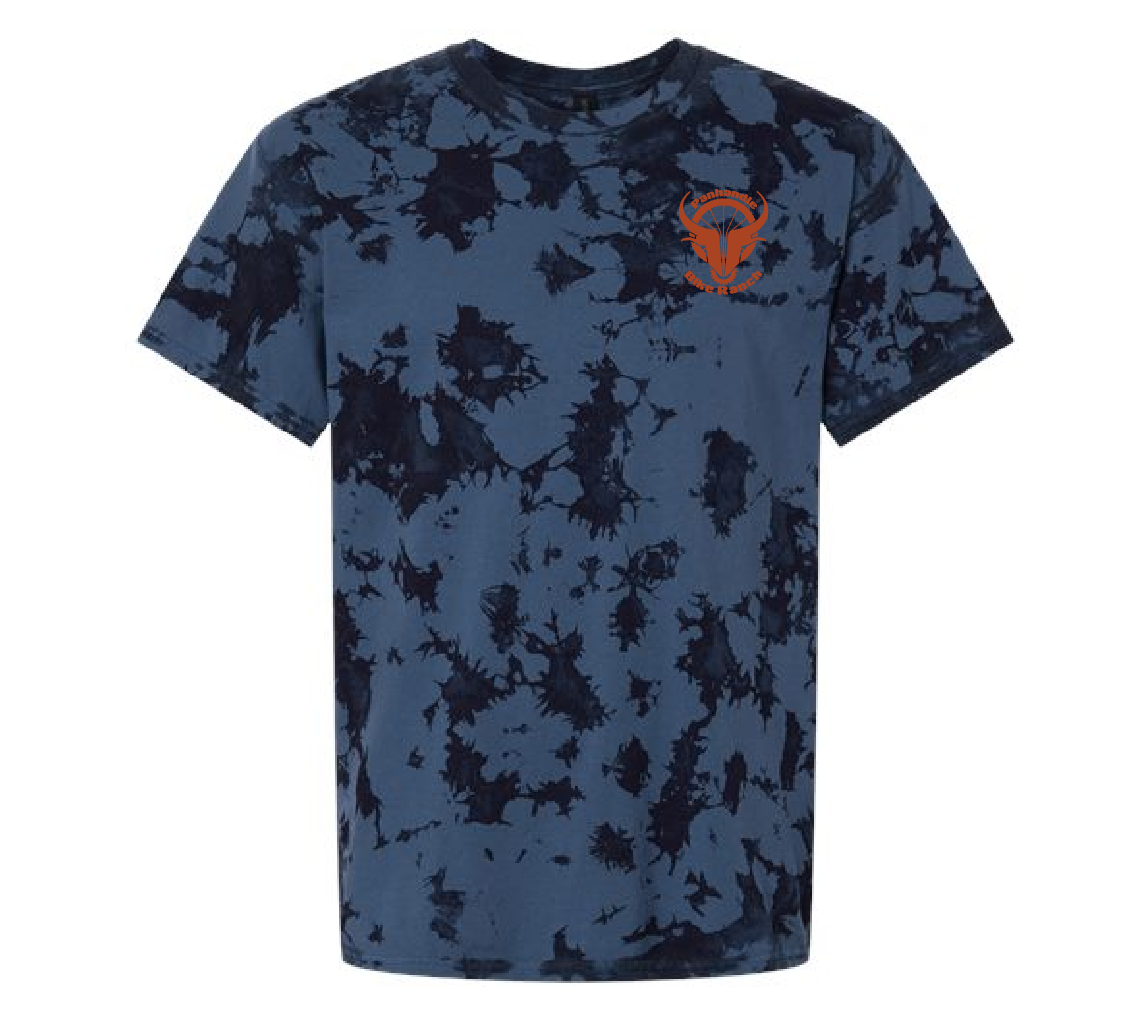 PBR Logo Iced Navy T-Shirt