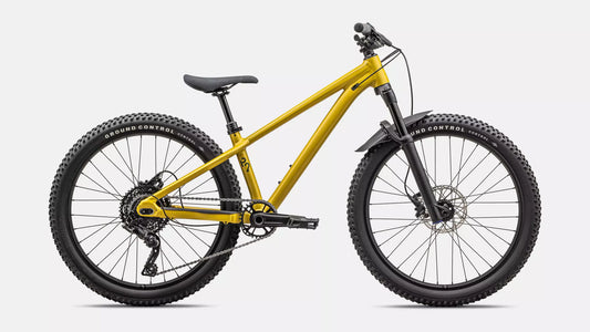Kids Bike Rental